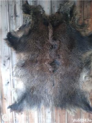 vânzare - imagine 2