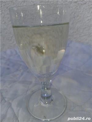 Țuica de prune de alunis,din anii 2019-2023