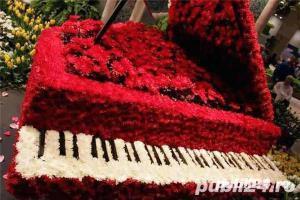 Muzica-pregatire teoretica pentru liceu de muzica si facultate de muzica - imagine 8