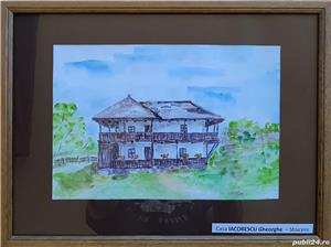 acuarela si grafica case taranesti