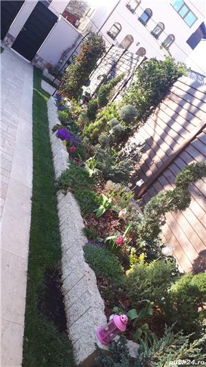 Pergola flori 1,50x2,50m - imagine 6