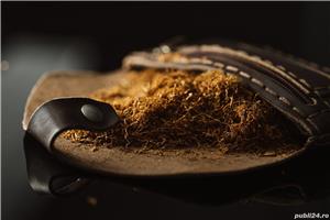 Poze REALE!!! - imagine 3