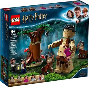 LEGO Harry Potter 75967 Forbidden Forest: Umbridge's Encounter