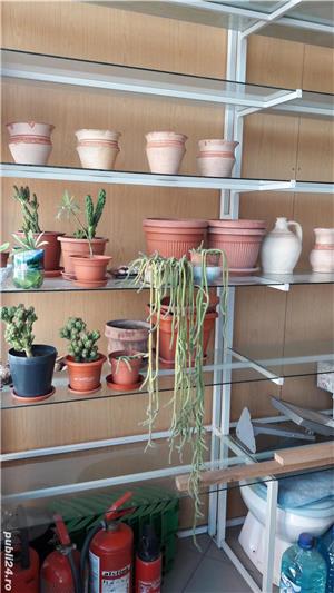 Mobilier magazin - imagine 6