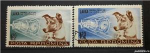 Timbre 1957 Catelusa Laika, primul calator in cosmos