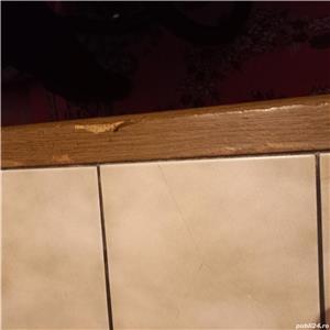 Vand masa 250 de lei  - imagine 2