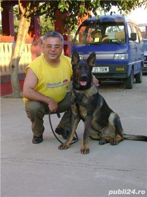 caini de paza - imagine 3 caini de paza - imagine 3