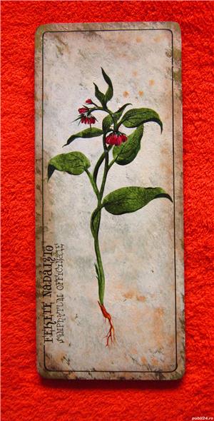 tablou botanic,vintage,ulei pe lemn -Symphytum officinale-cadou inedit