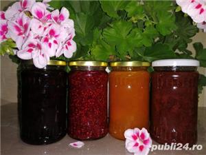 Gem / dulceata de casa