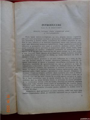 Manual de Medicina Infantila. Boli infectioase  - imagine 3