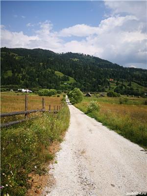 Teren de vanzare - com. Saru Dornei, jud. Suceava - imagine 2