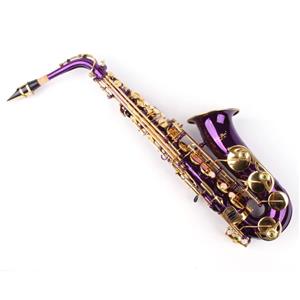 Saxofon Alto Karl Glaser LILA MOV+ AURIU NOU curbat Saxophone Germania