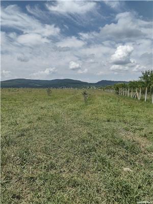 Vind 7,39 hectare compacte in sesul jelnei, Bistrita - imagine 8