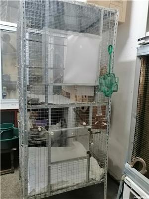 Voliera Colivie Dubla Mare Papagali - imagine 5