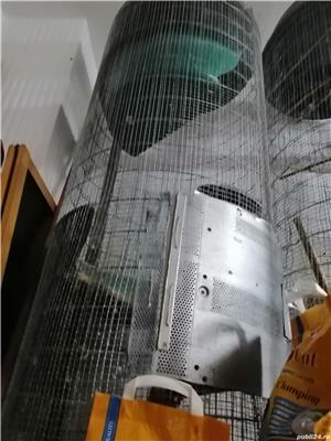 Cusca Colivie Sinsilla, veverite, papagali etcCusca Colivie Sinsilla, veverite, papagali etc - imagine 4