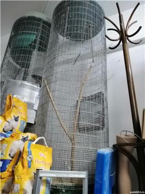 Cusca Colivie Sinsilla, veverite, papagali etcCusca Colivie Sinsilla, veverite, papagali etc - imagine 3