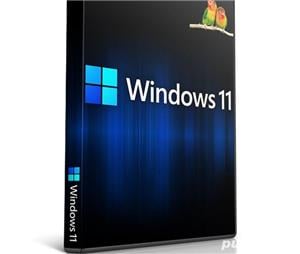 Servicii instalare si configurare sistem de operare Windows si aplicatii
