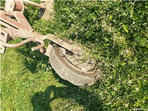 Prasitoare functionala sau obiect ornamental - imagine 2