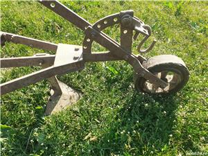 Prasitoare functionala sau obiect ornamental