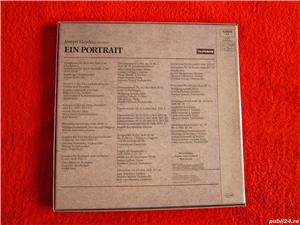 vinil rar Haydn -Portret 7xLP-dir.Karl Richter,Andre Rieu,J.Keilberth impecabile - imagine 6