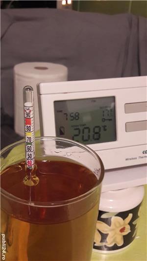 Tuica maturata de fructe, an 2016