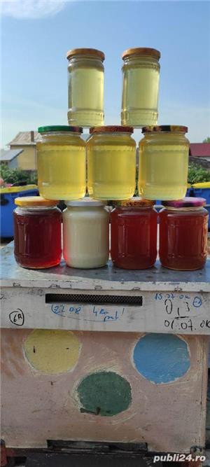 Vând miere salcam - imagine 6