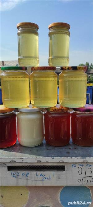 Vând miere salcam - imagine 2