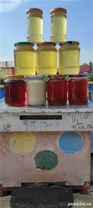 Vând miere salcam - imagine 5