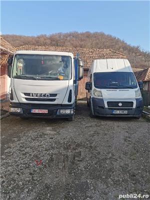 Transport marfa - orice  - imagine 10