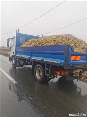 Transport marfa - orice 