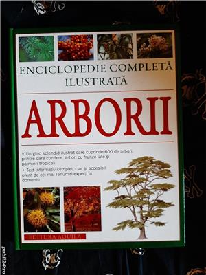 Tony Russell/Catherine Cutler - Arborii - enciclopedie completa ilustrata