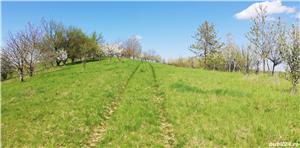 Teren1,26 ha pentru casa sau ferma(sere)  la 6km de mun. Bistriţa(Sigmir) - imagine 4