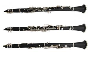 Clarinet Parrot 7401S Bb Böhm sistem 17clape+6 inele ebonita - imagine 10