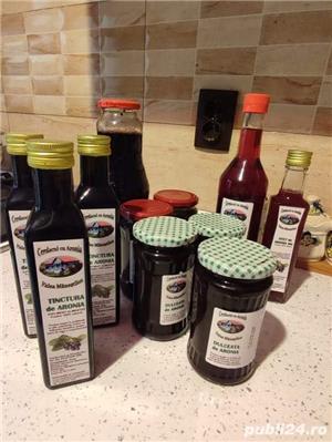 Sirop de Aronia - Plantatie jud. Gorj - imagine 2