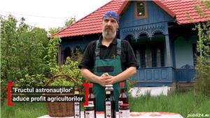 Sirop de Aronia - Plantatie jud. Gorj - imagine 4