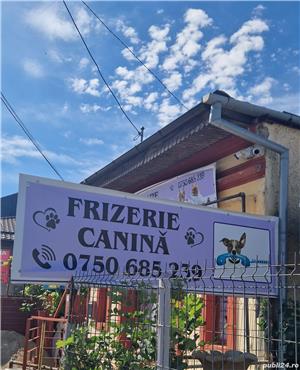 La quattro zampe - imagine 2 La quattro zampe - imagine 2