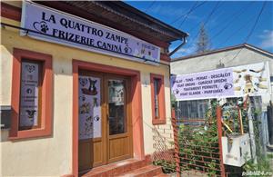 La quattro zampe - imagine 3 La quattro zampe - imagine 3