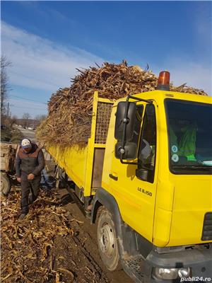 Materiale Agegate, Pamant Vegetal Gradina, Nisip, Sort 3-40T - imagine 5