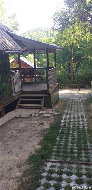 Cabana  lac mujdeni - imagine 3