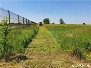 Tund iarba curatam defrisam terenuri Timisoara Dumbravita Giarmata Sanandrei - imagine 12