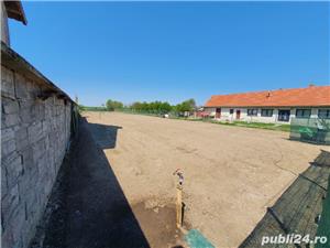 Tund iarba curatam defrisam terenuri Timisoara Dumbravita Giarmata Sanandrei - imagine 14