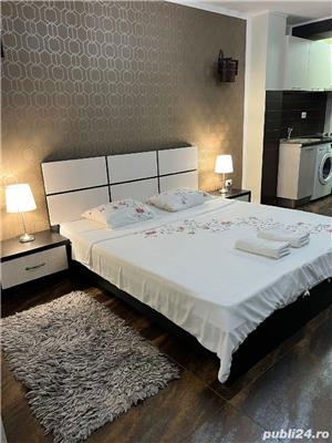 apartament 1 camera mazepa 1 Regim Hotelier - imagine 2