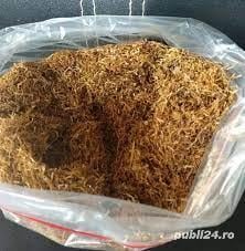 Firycel si toc@t, calitate PREMIUM