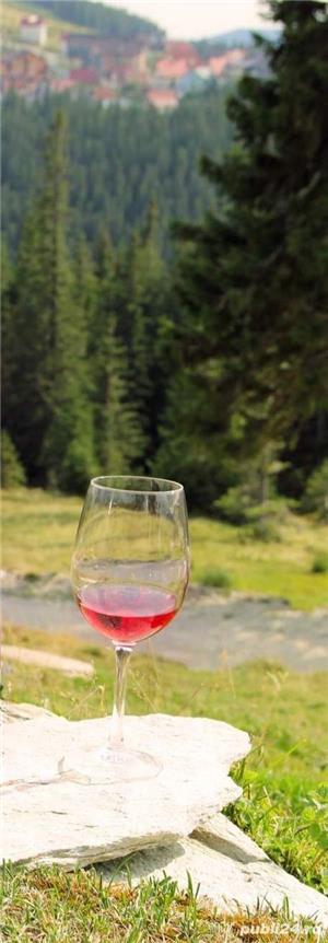 Vin din Vita Nobila - Roze