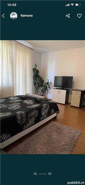 Apartament  1 camera in regim hotelier Baia mare - imagine 7