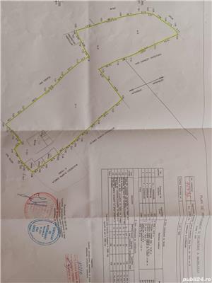 Vând proprietate în Fieni Dâmbovița (teren 3946 mp cu casă de 130 mp + casă 34 mp + garaj) - imagine 9