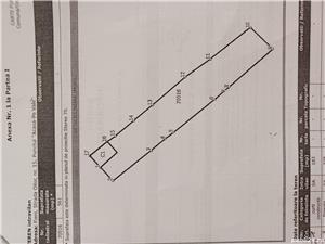 Vând proprietate în Fieni Dâmbovița (teren 3946 mp cu casă de 130 mp + casă 34 mp + garaj) - imagine 10