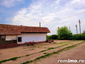 Teren Intravilan, 9,5 ha, 25 KM de Timisoara - imagine 9