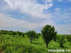 Teren Intravilan, 9,5 ha, 25 KM de Timisoara - imagine 6