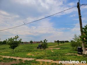 Teren Intravilan, 9,5 ha, 25 KM de Timisoara - imagine 13